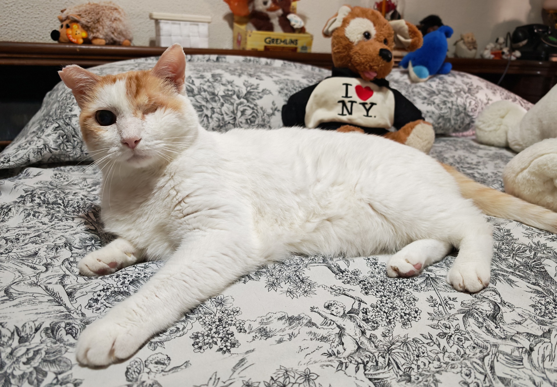 ANGELITO