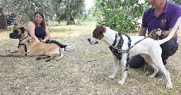 A26_029-4.webp