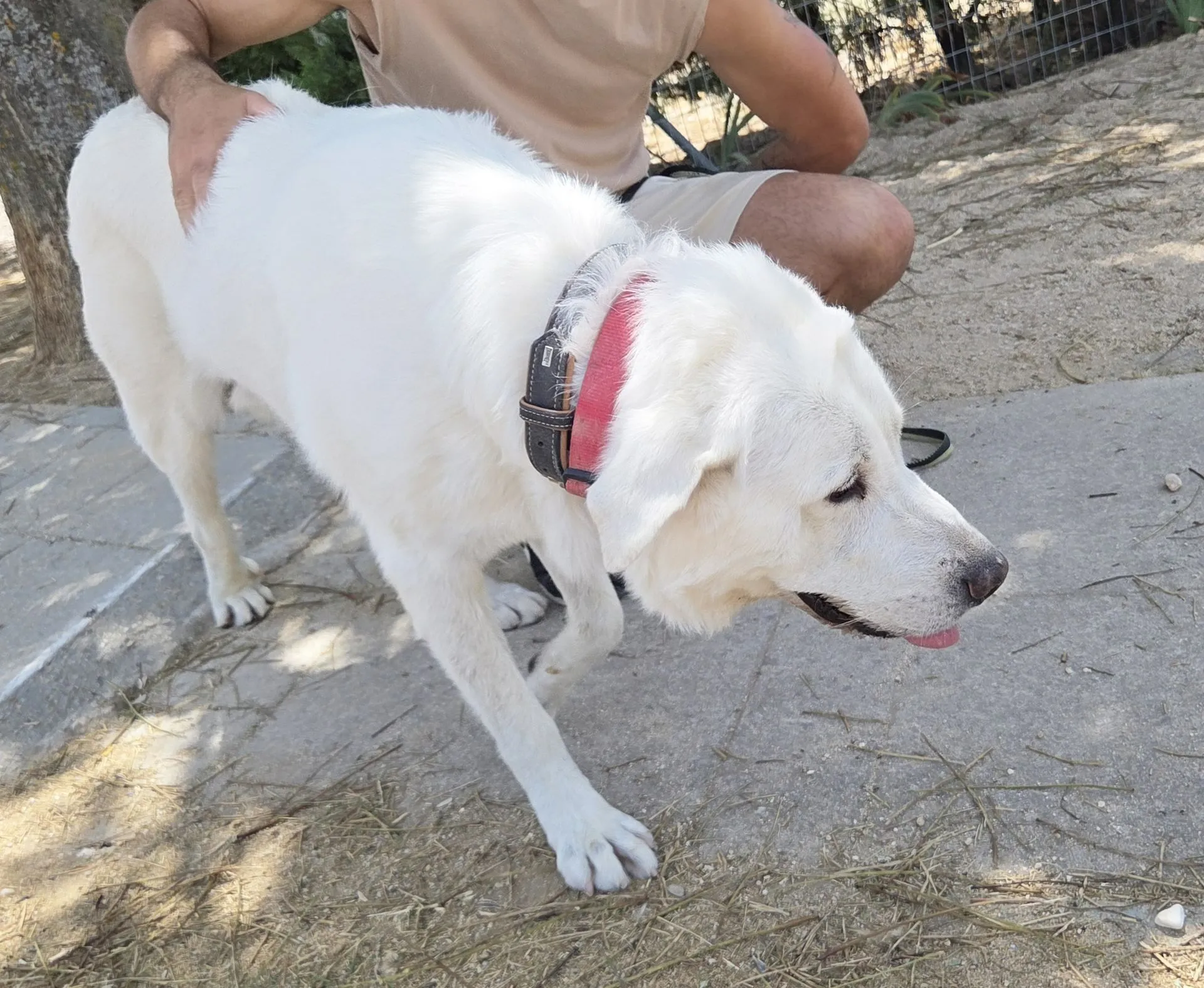 CASPER - Imagen 7