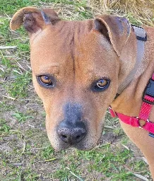 A26.047-9.webp