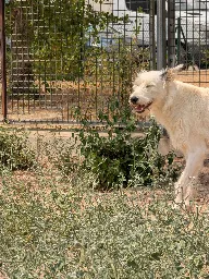 HADA A26 (7).063 2026-07-26 Original 0.webp