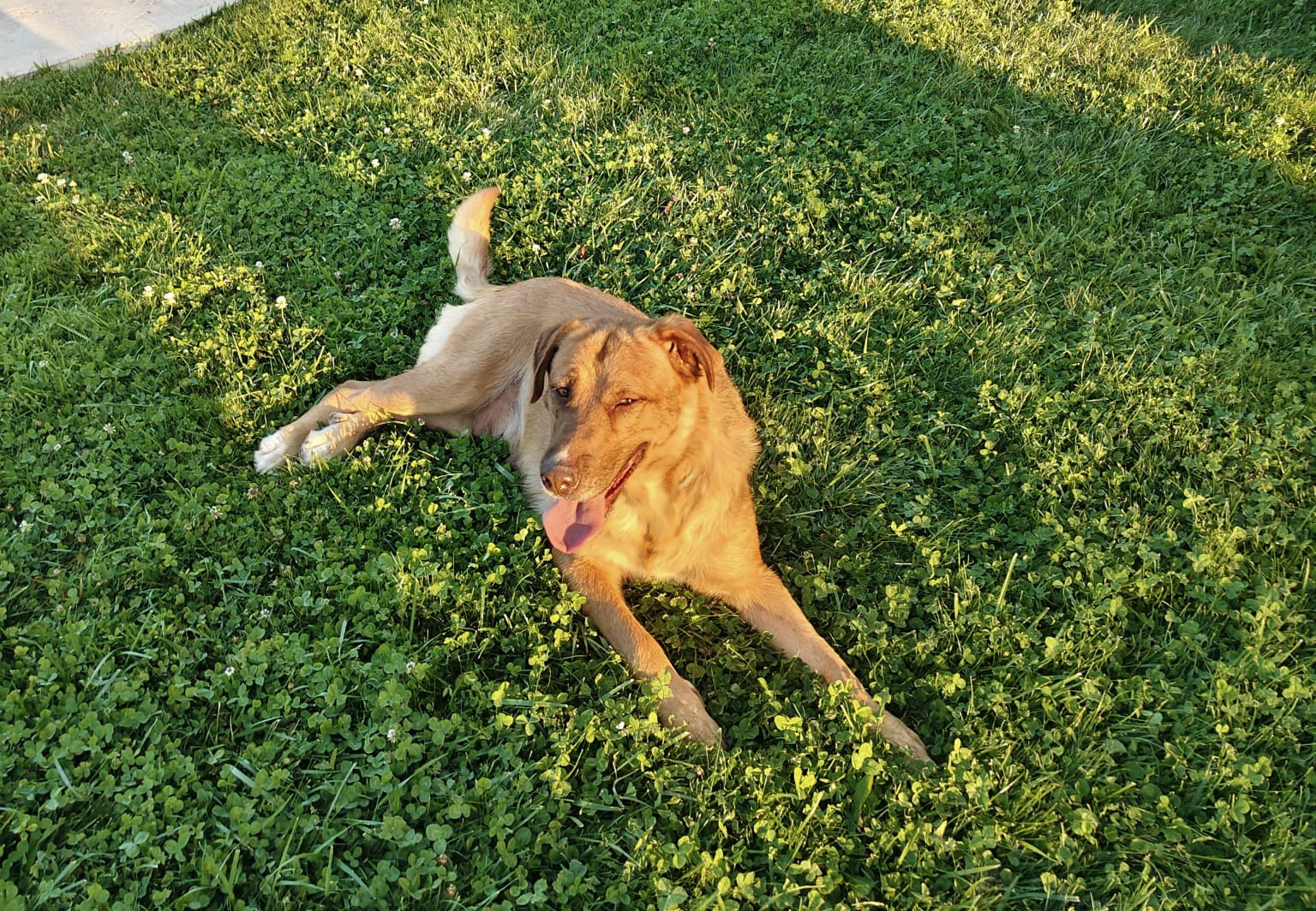 SANDIA - Imagen 15