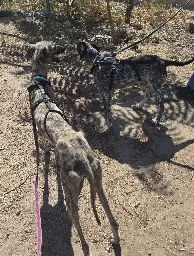 20260802_113612.webp