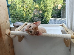 GA26_070-1.webp