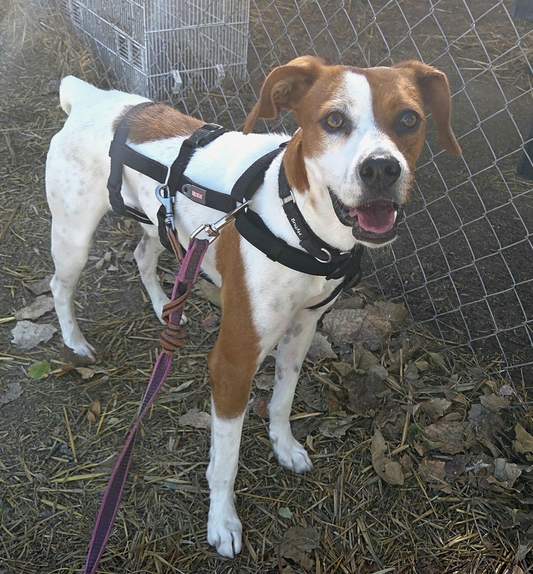 FER BIMBA - Imagen 23