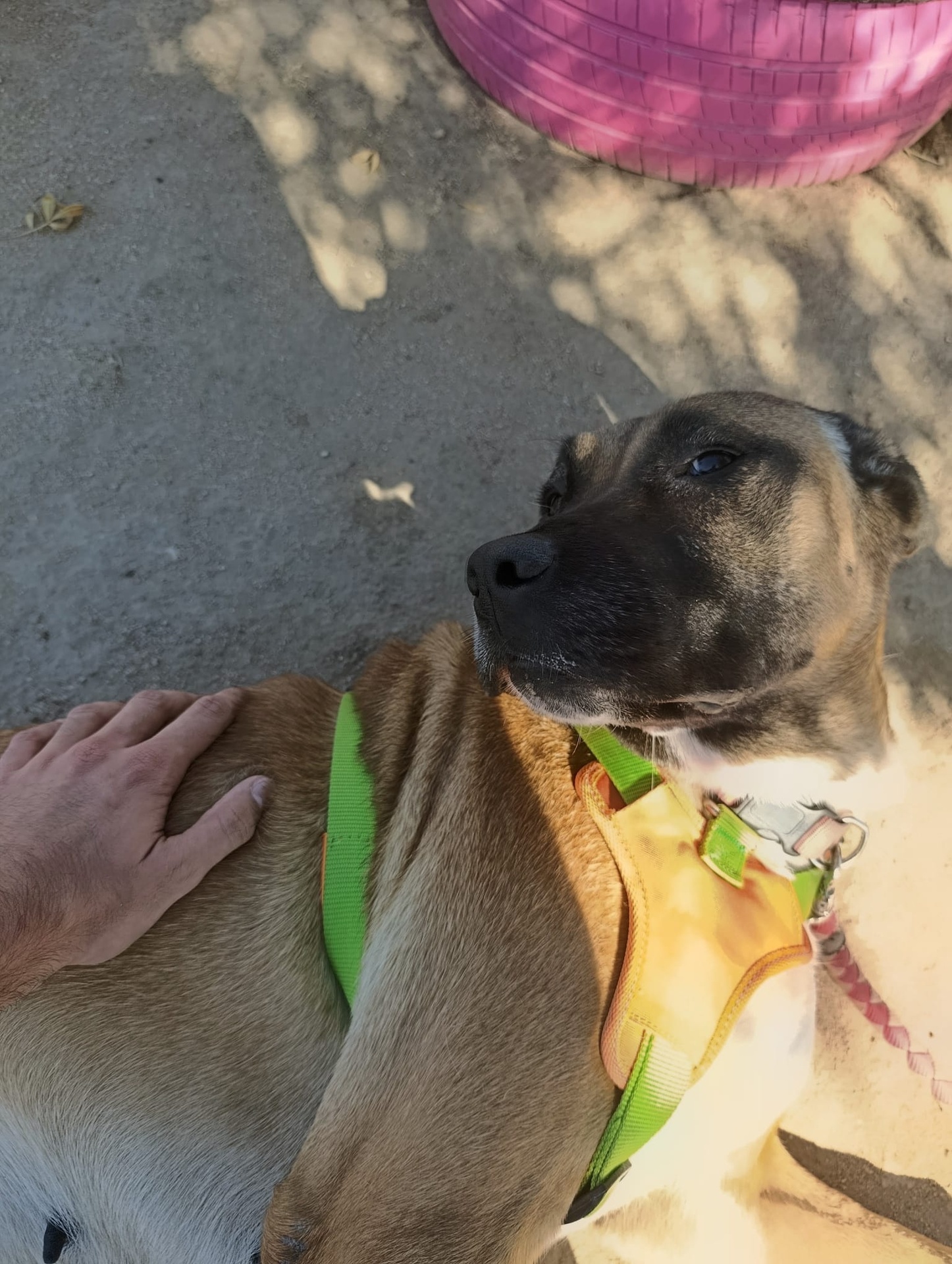 YUMA - Imagen 2