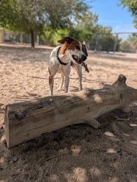 FER BIMBA - B26.217