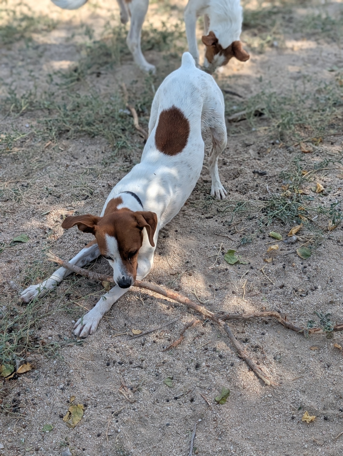 FER BIMBA - Imagen 11