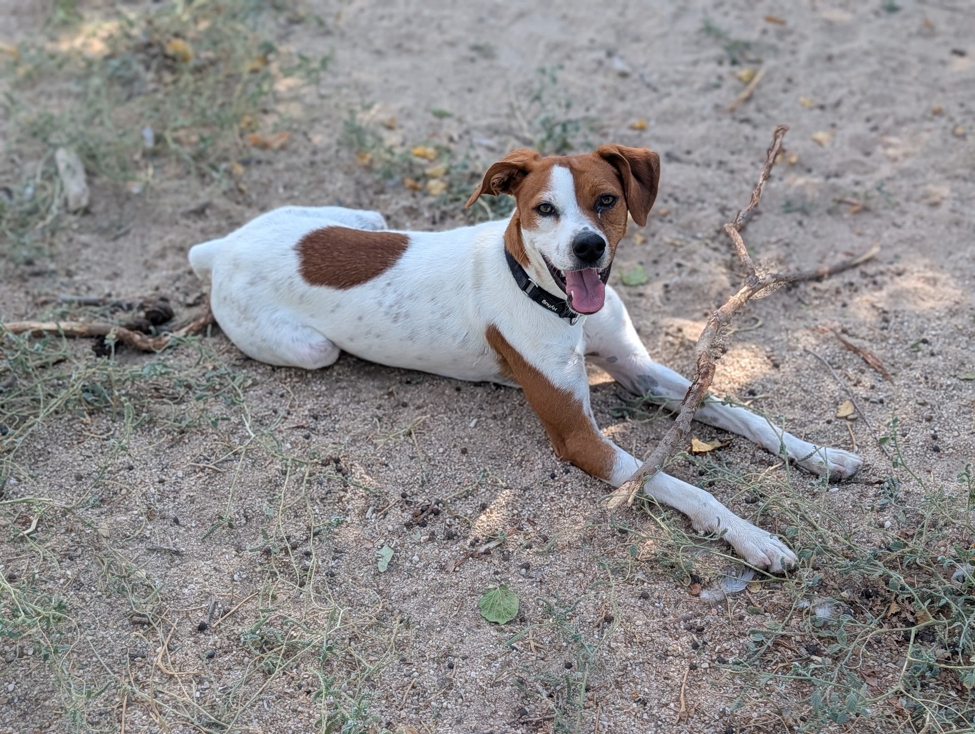 FER BIMBA - Imagen 9