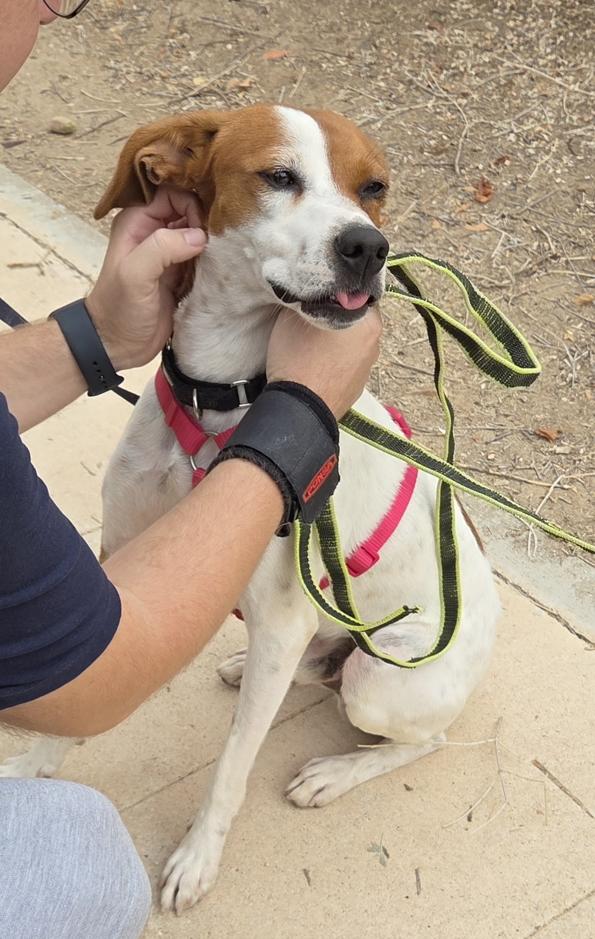 FER BIMBA - Imagen 5