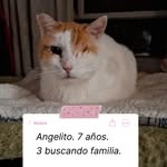 instagram - [Video]