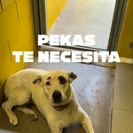 instagram - [Video]