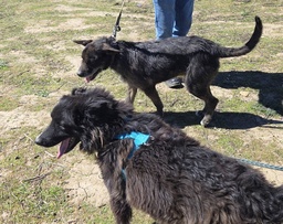 Imagen de A24.164