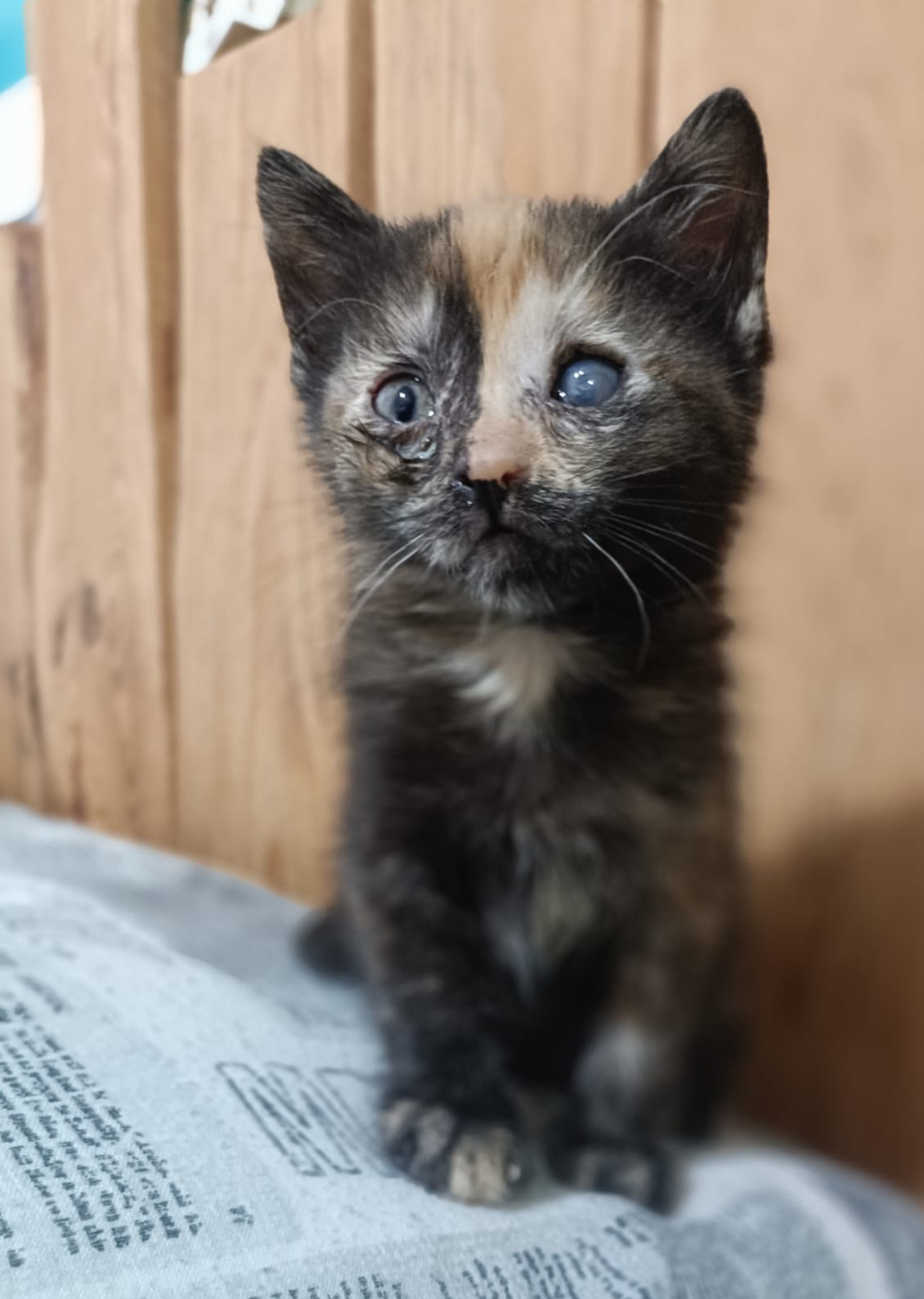 DELILAH
