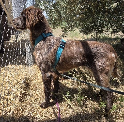 B26_147-6.webp