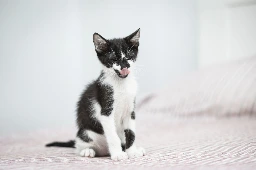 GA26_072-4.webp