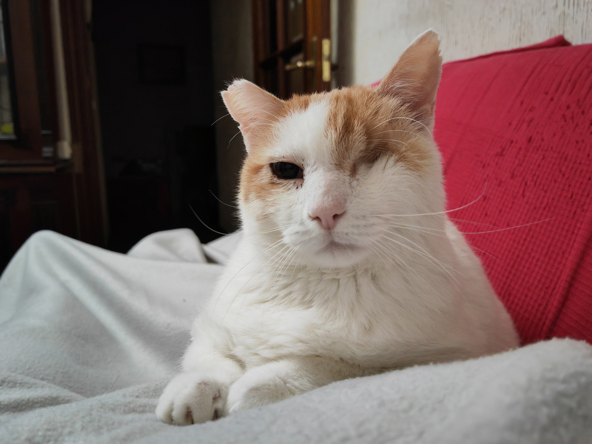 ANGELITO - Imagen 2