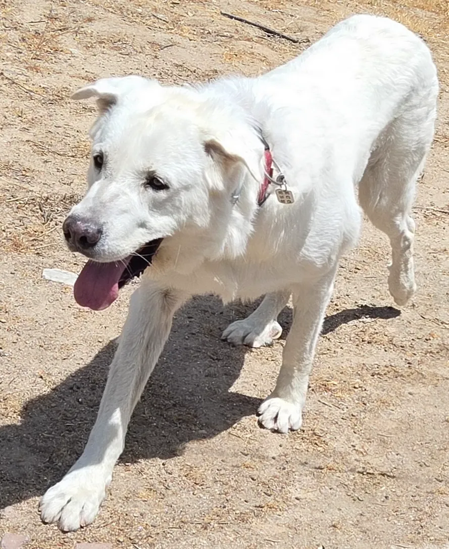 CASPER - Imagen 9