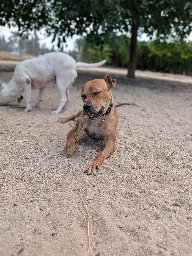 COVA A26 (4).047 2026-07-26 Original 0.webp