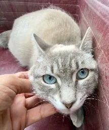 GA26_069 MABEL.webp