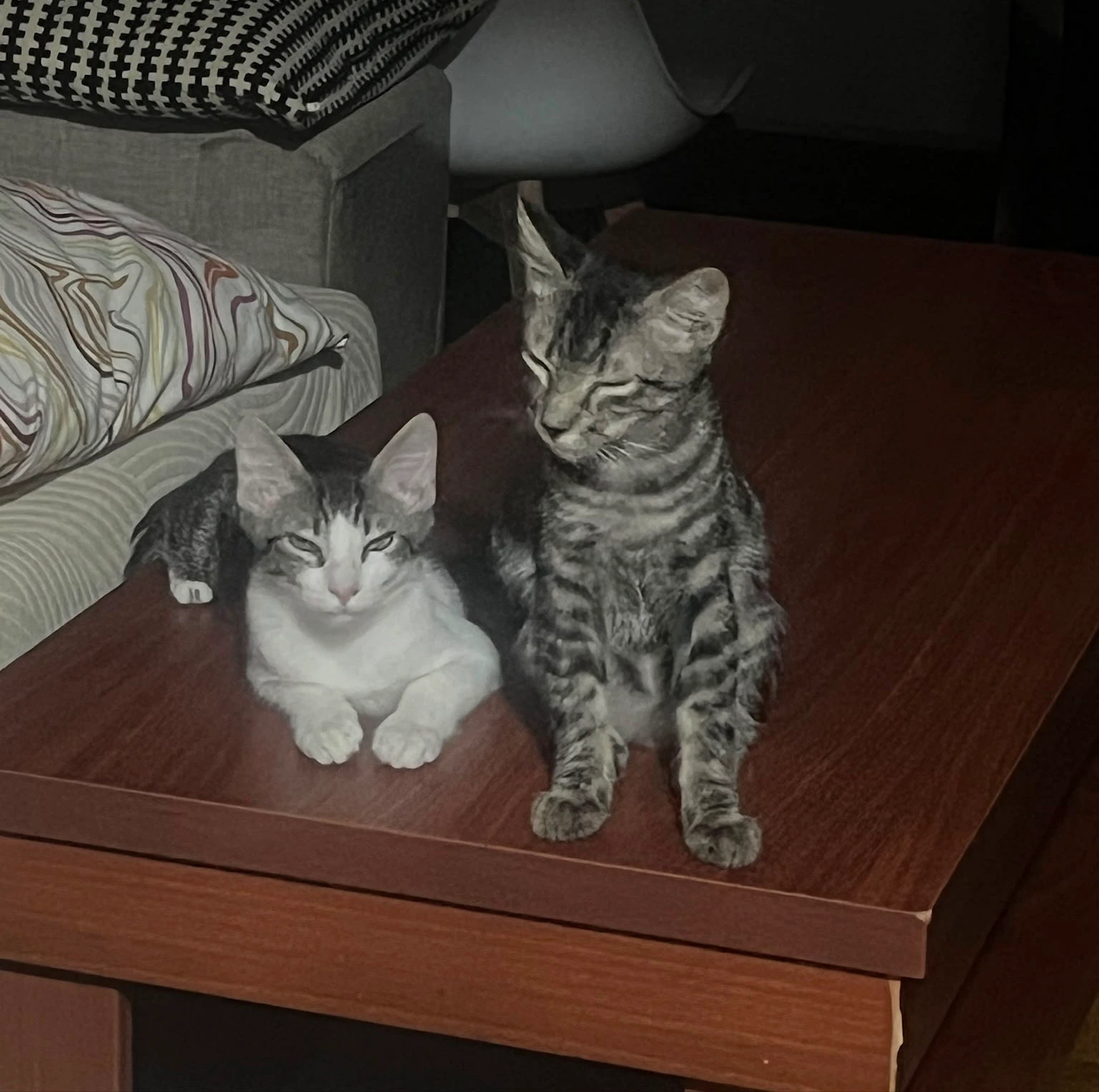 GORRION - Imagen 1