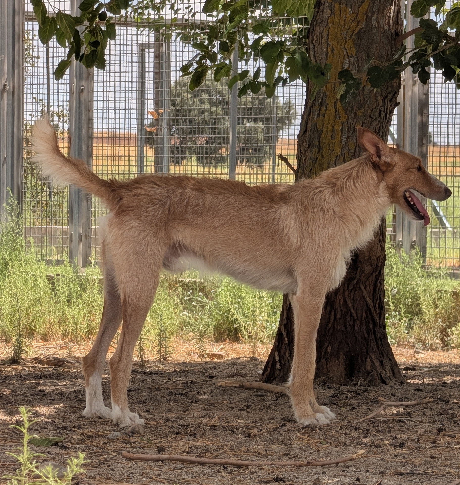 BAMBI BIMBA - Imagen 18