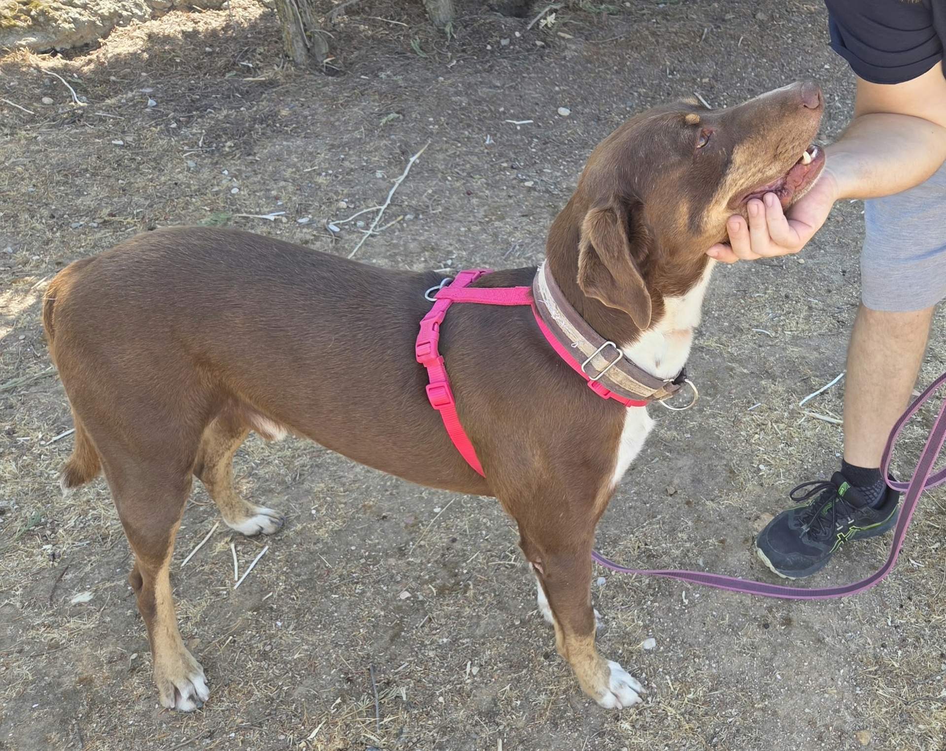TINKER BIMBA - Imagen 9