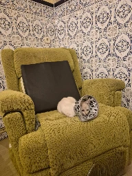 GA26.117-2.webp