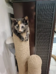 GA26_073-2.webp