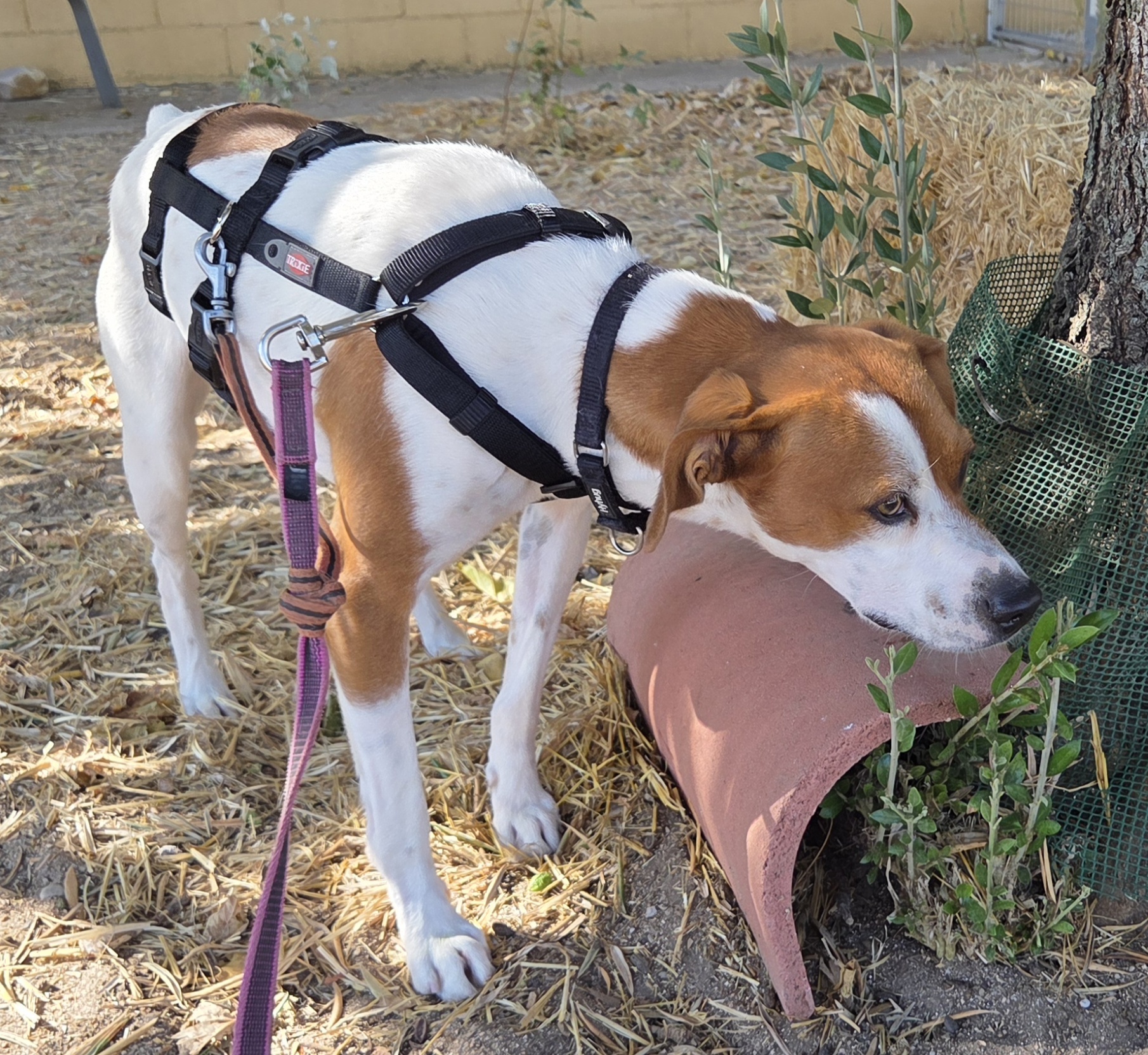 FER BIMBA - Imagen 21