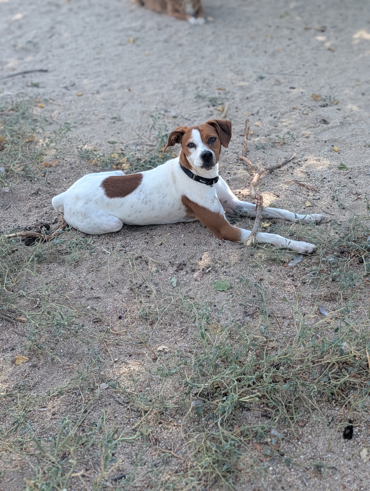 FER BIMBA - Imagen 10