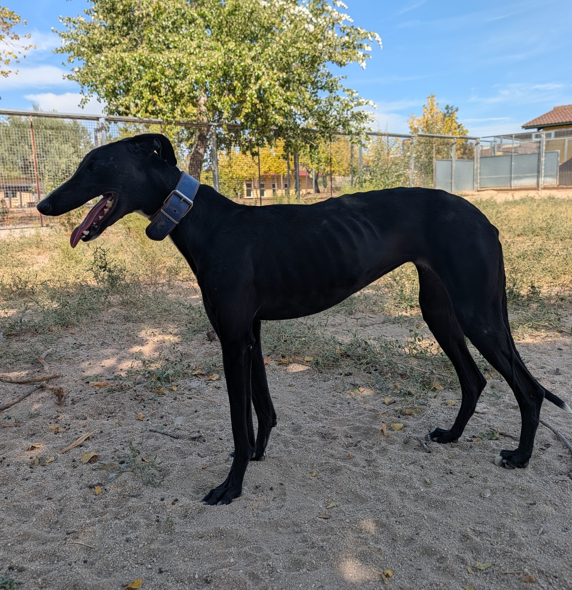 KATY MALAGON - Imagen 1