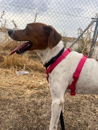 FER BIMBA - B26.217