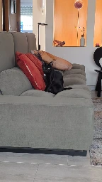GA26.037-7.webp