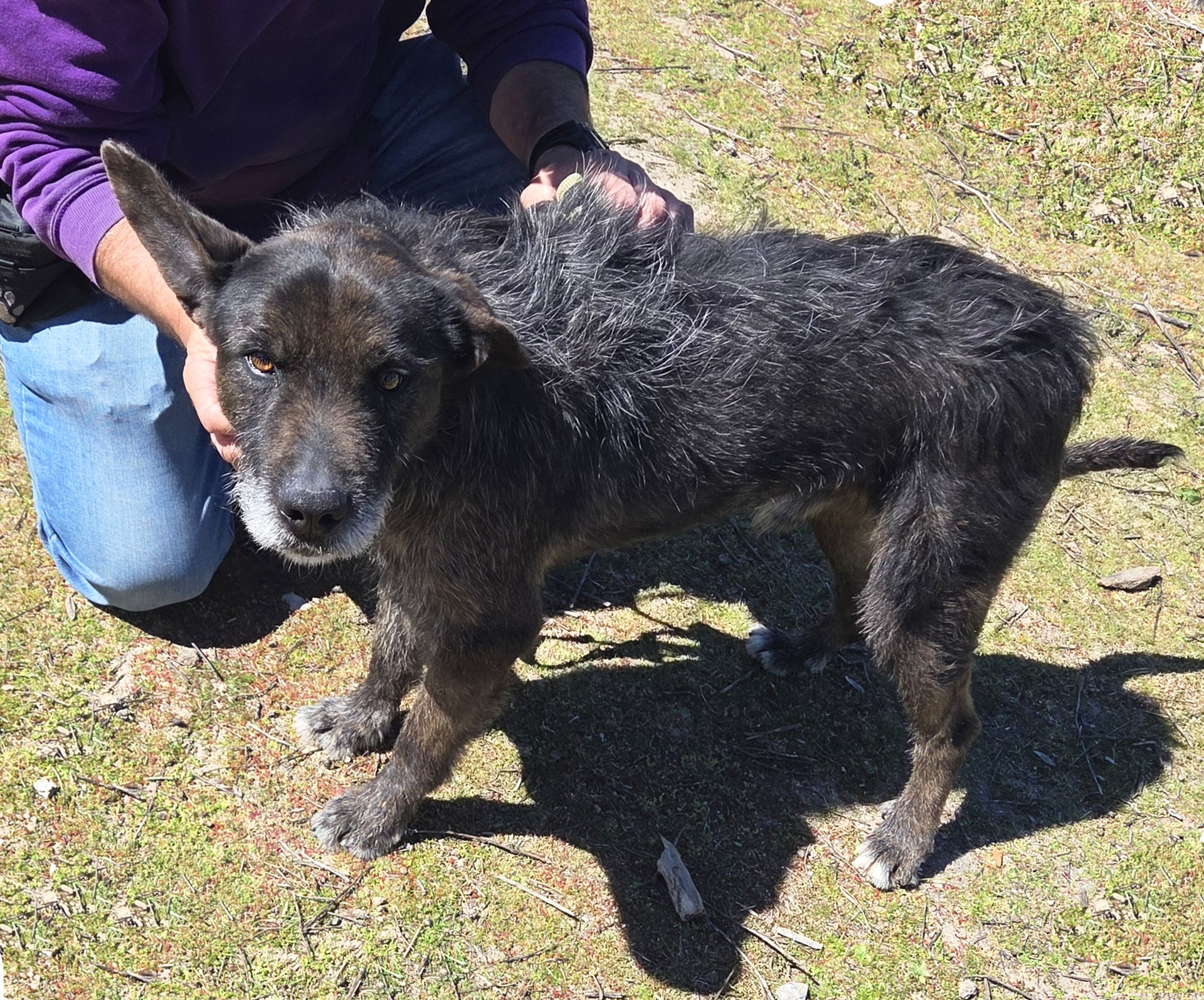 VASCO - Imagen 1