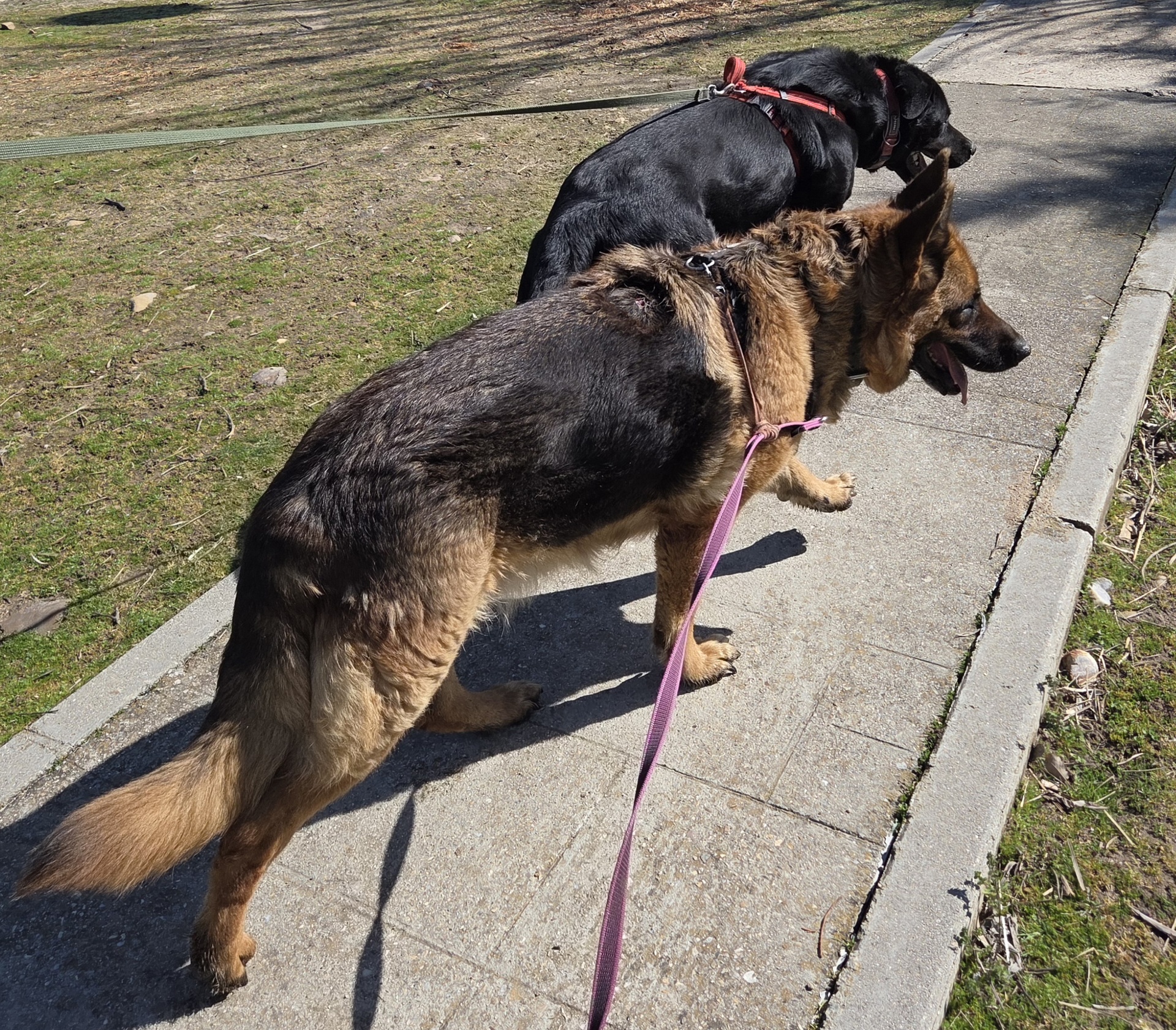 NUT - Imagen 4