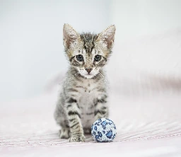 GA26_071-1.webp