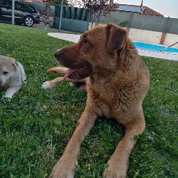 SANDIA - B26.160
