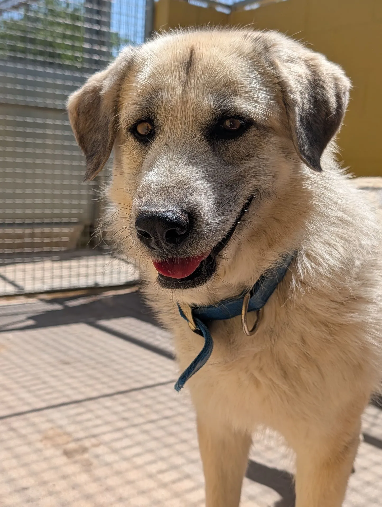 GOMINOLA - Imagen 10