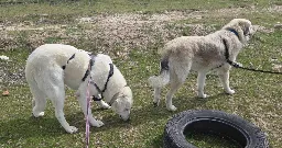 20260318_122657.webp
