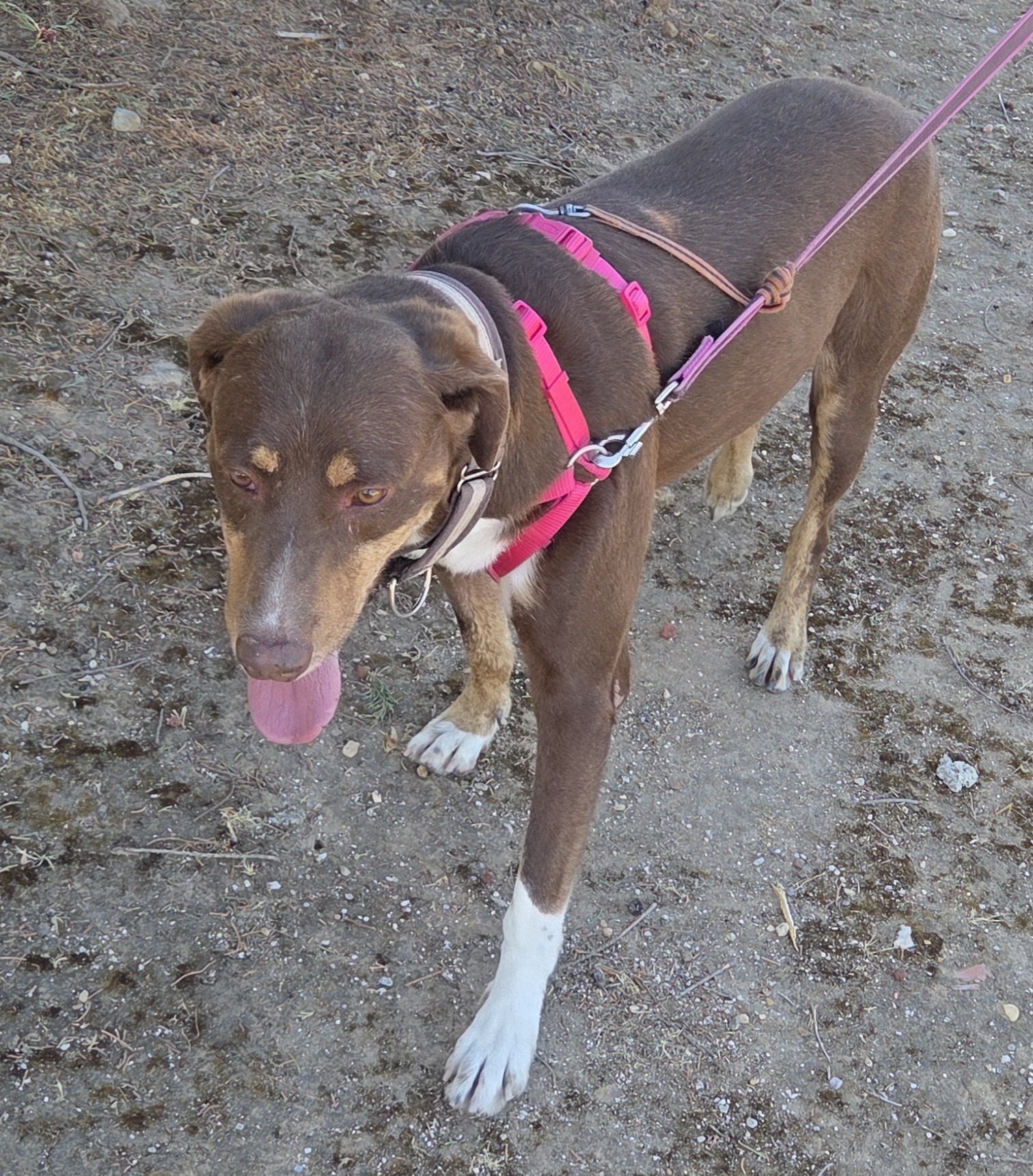 TINKER BIMBA - Imagen 17