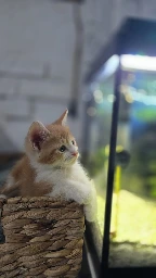 GA26.147-3.webp