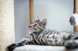 GA26.143-3.webp