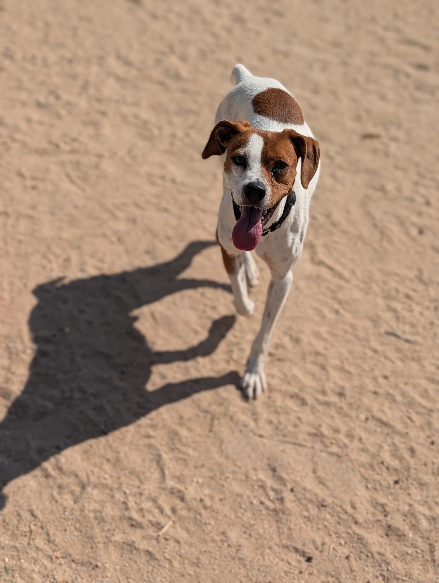 FER BIMBA - Imagen 8