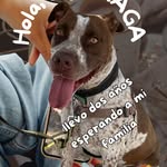 instagram - [Video]