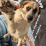 instagram - [Video]