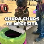 instagram - [Video]