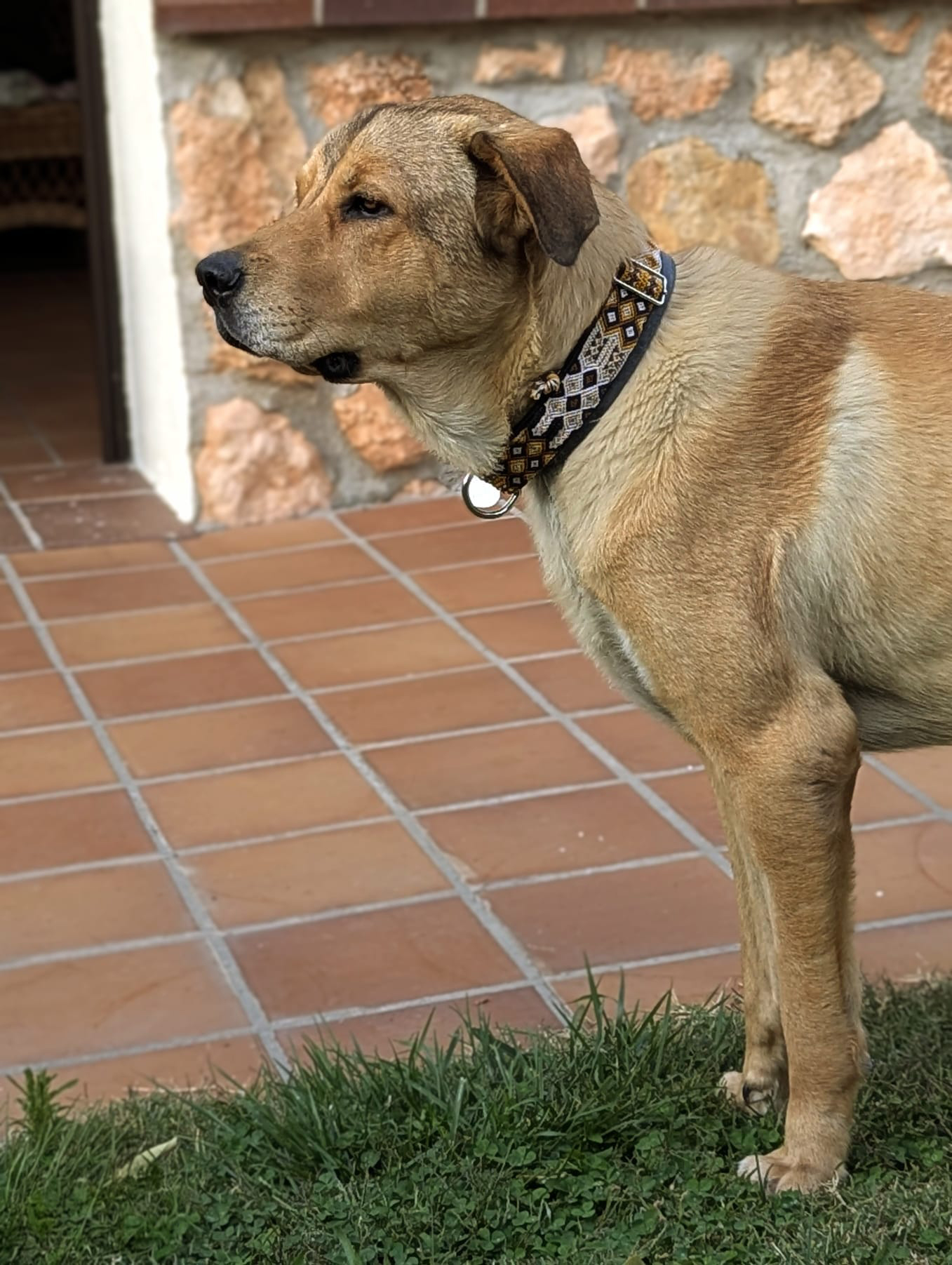 ANTONIA - Imagen 8
