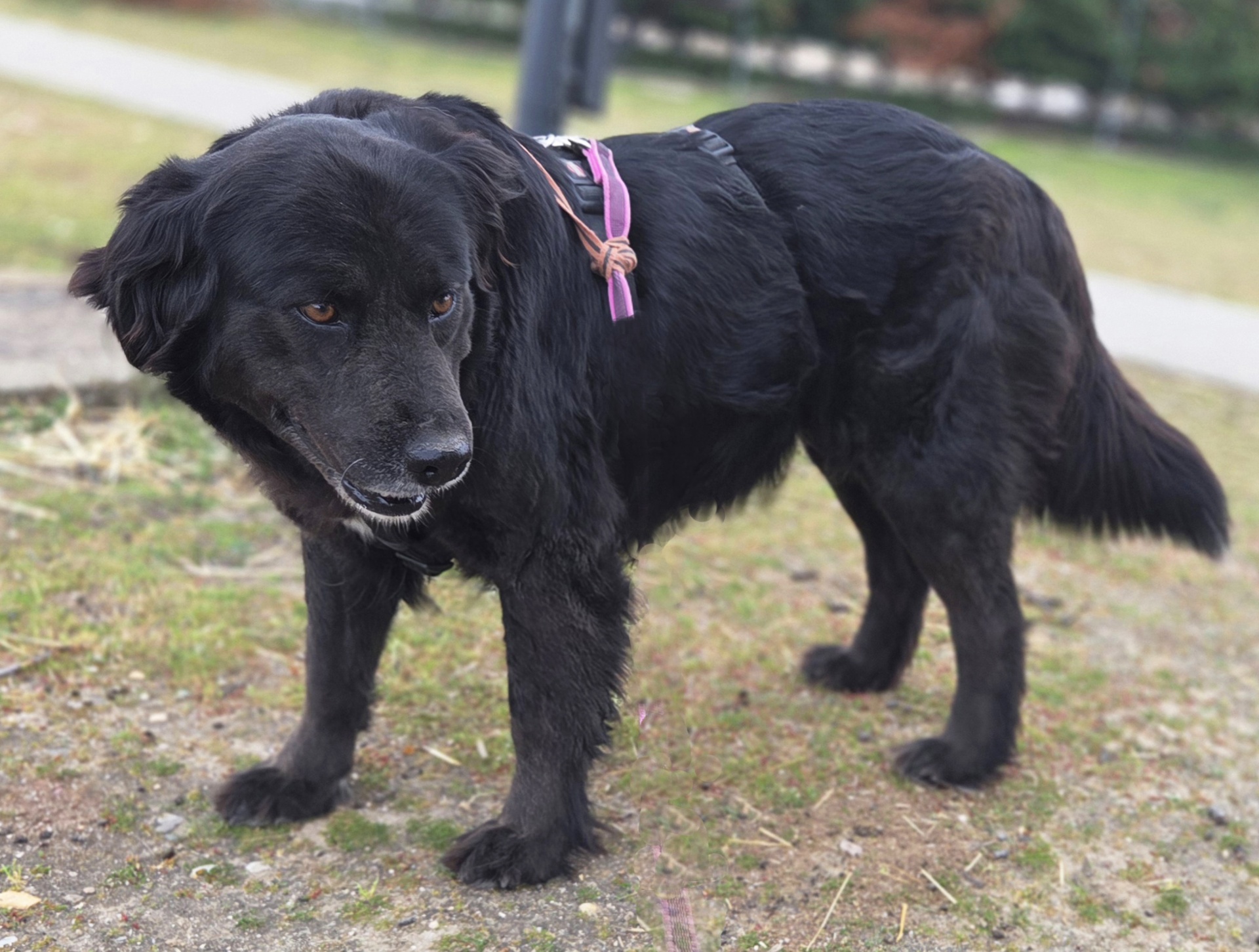CLEO - Imagen 2