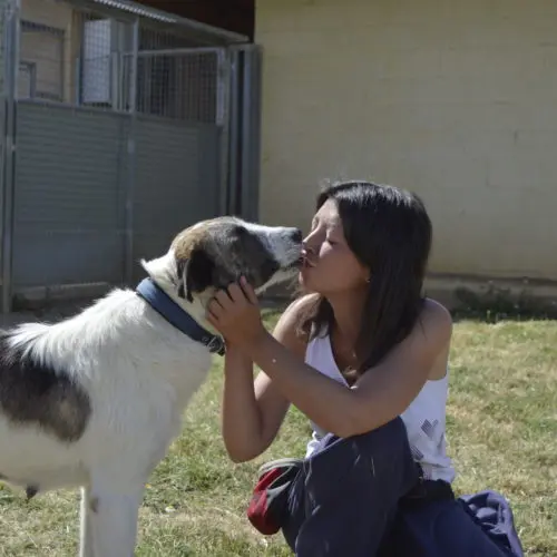 Foto besando un perro